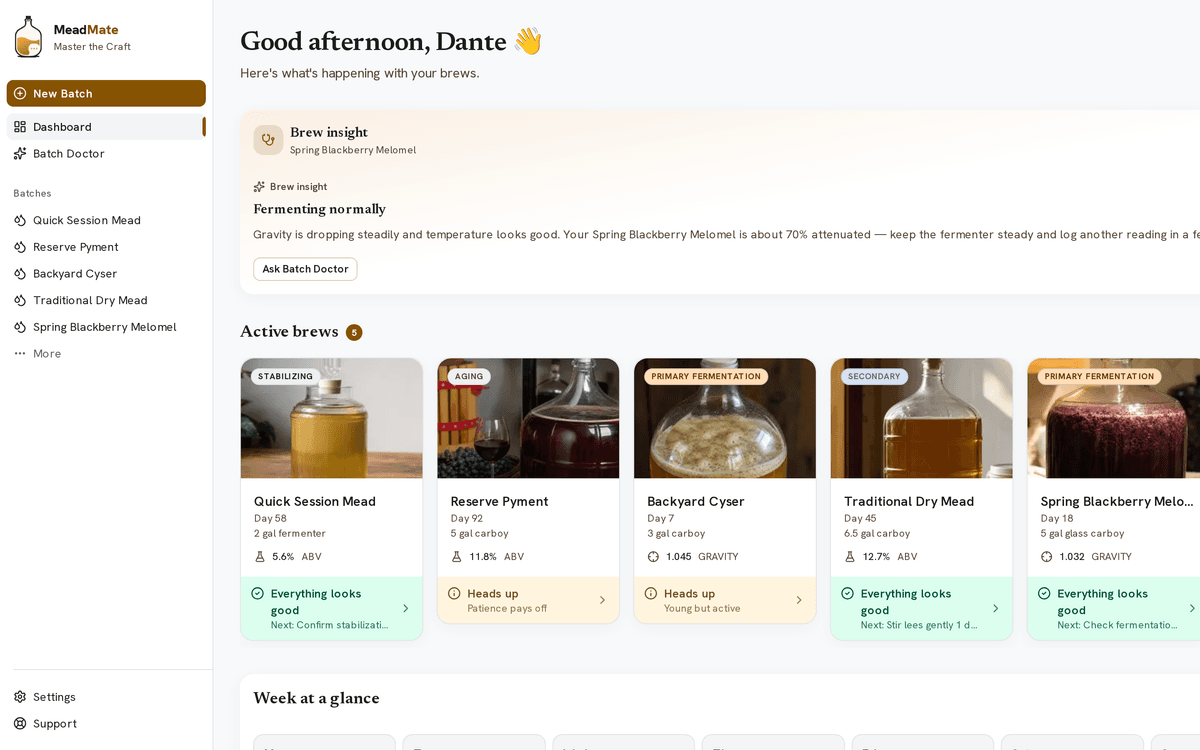 MeadMate dashboard showing active brews, brew insights, and the week-at-a-glance schedule