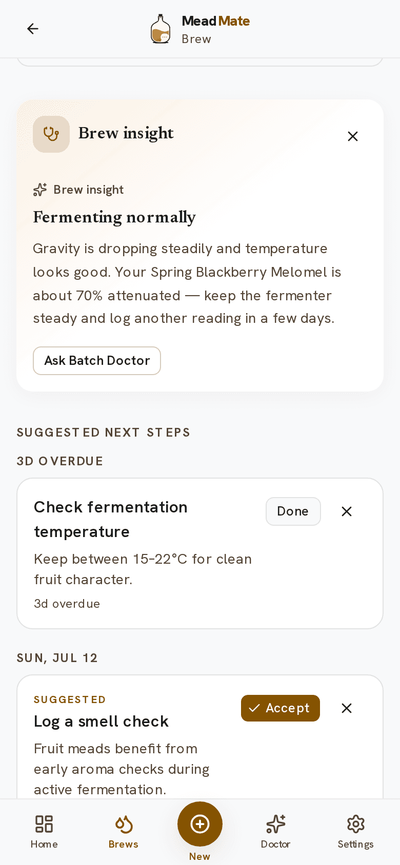 MeadMate Today's Plan checklist of brewing tasks